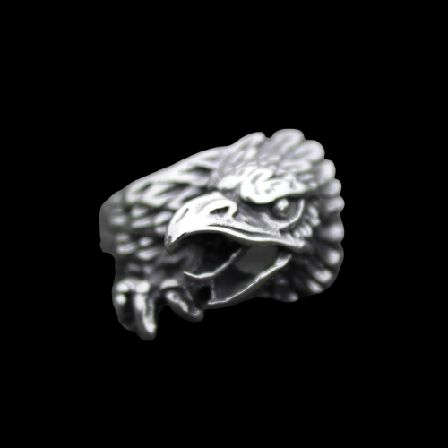 The eagle's eye