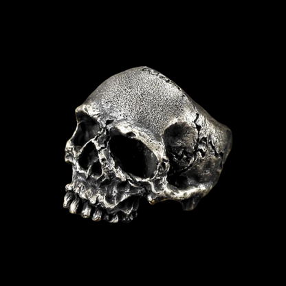 Rugged Skull