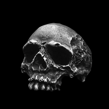 Rugged Skull