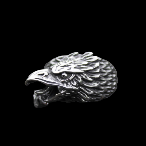 The eagle's eye