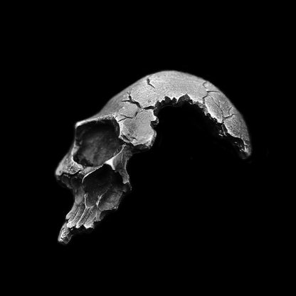 Half Face Skull