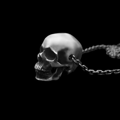 Humans Skull